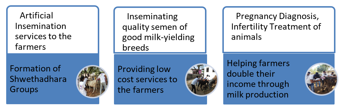 Dairy Program Activity